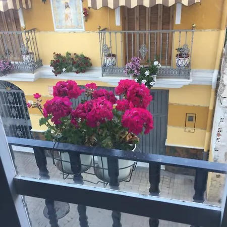 Centro (adults Only) *