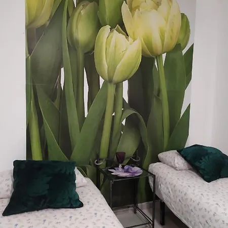 Hostel Centro (adults Only)