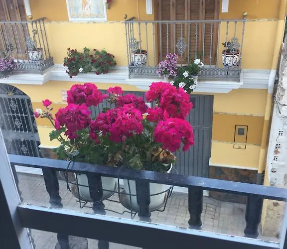 الشباب مالاغا سينترو *