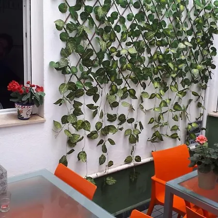 Centro (adults Only) Hostel *