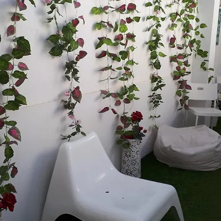 Centro (adults Only) Hostel