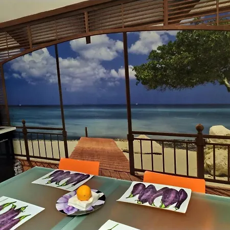 Centro (adults Only) Hostel